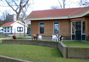 geiten in de Dierenwereld